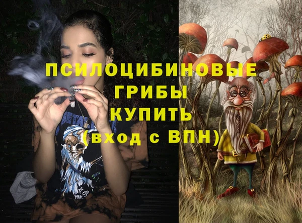 бошки Беломорск